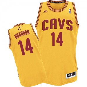 Maillot NBA Or Terrell Brandon #14 Cleveland Cavaliers Alternate Authentic Homme Adidas
